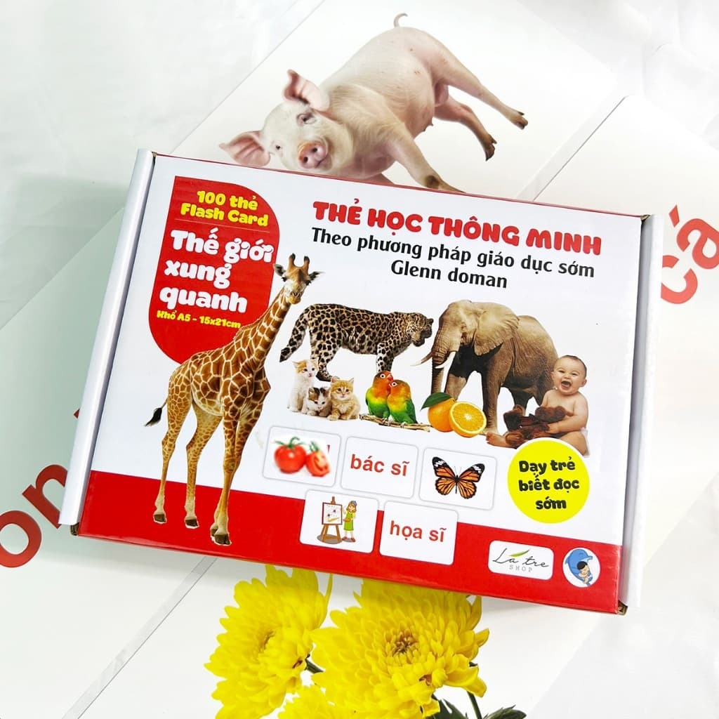 (Thanh lý) Thẻ học thông minh cho bé Bộ thẻ flashcard chuẩn phương pháp Glenn Doman khổ A5 100 thẻ nhiều chủ đề